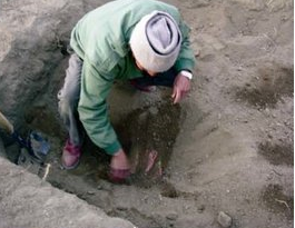 Requirment of efficient root cellar for vegetable storage in the cold arid region of Ladakh during wintersimage